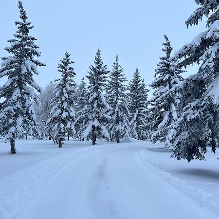 Rolling Hills Country Resort Bed And Breakfast Three Hills Екстериор снимка