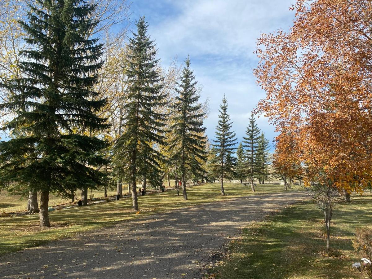 Rolling Hills Country Resort Bed And Breakfast Three Hills Екстериор снимка