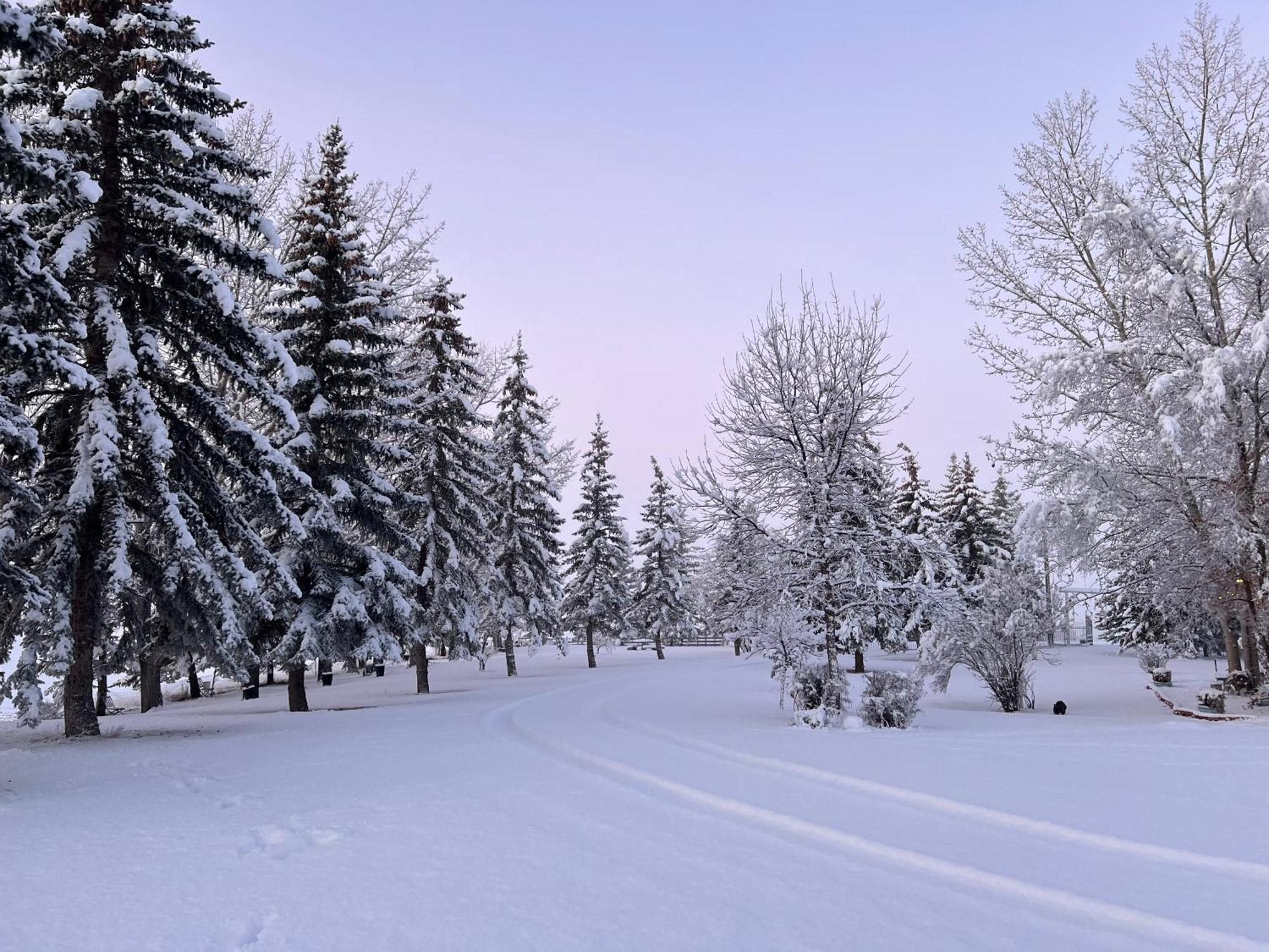 Rolling Hills Country Resort Bed And Breakfast Three Hills Екстериор снимка